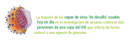 Imagen: Destacado de texto sobre virus de desafío